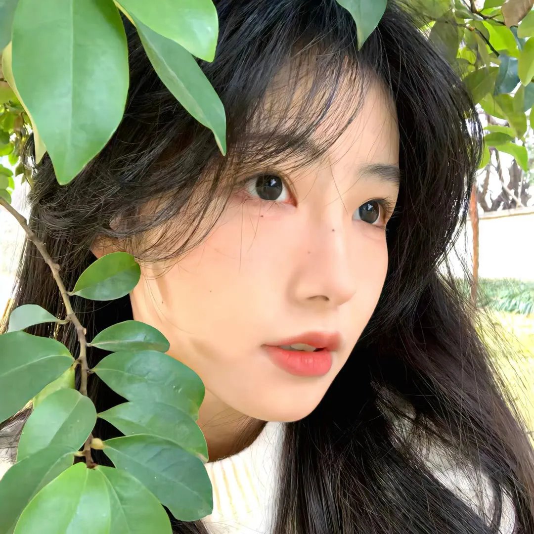 双面宠妃闯关记